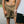 Load image into Gallery viewer, Miller Shorts- Textured Linen Shorts - Khaki Green
