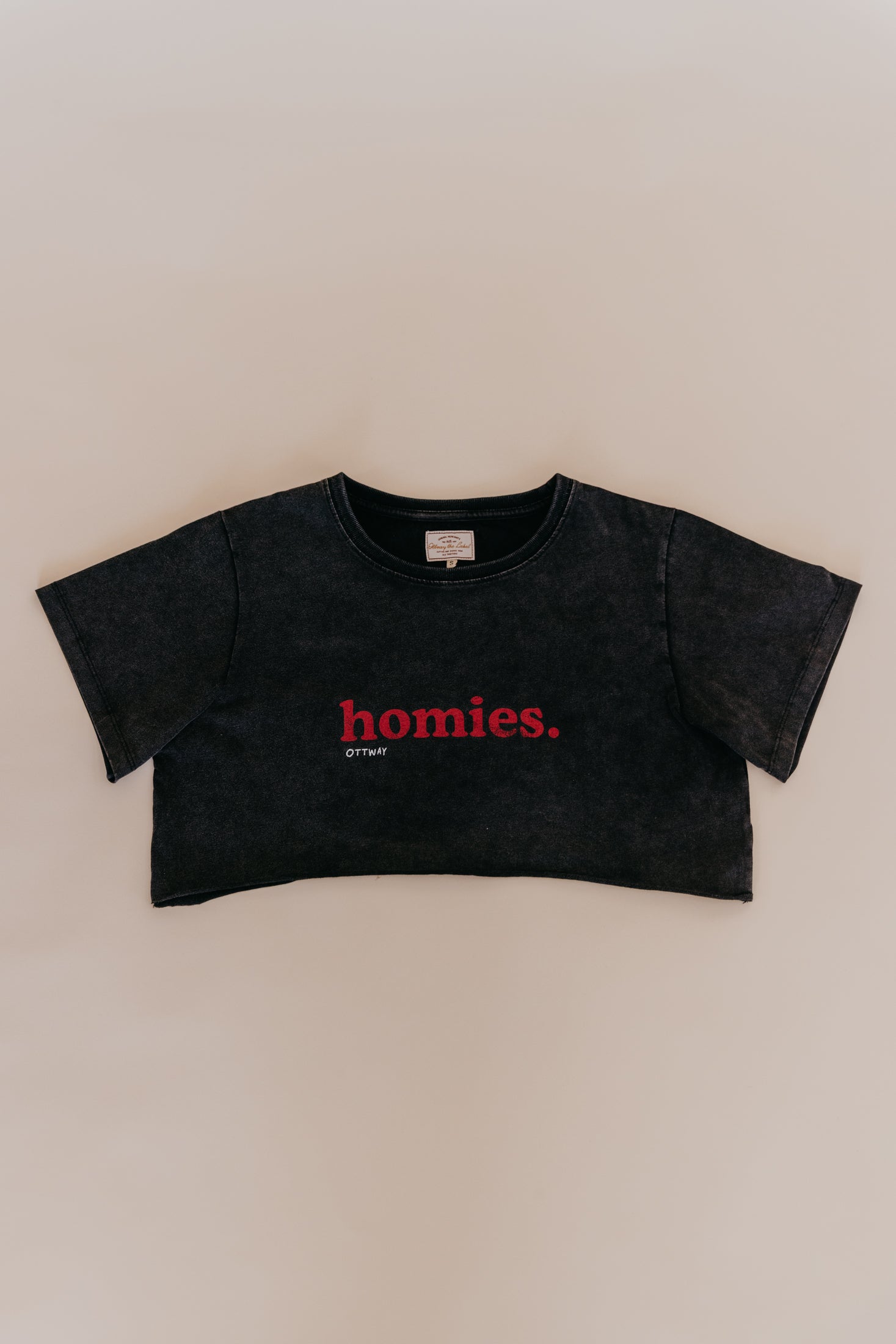 Homies Cropped T-Shirt - Washed Black