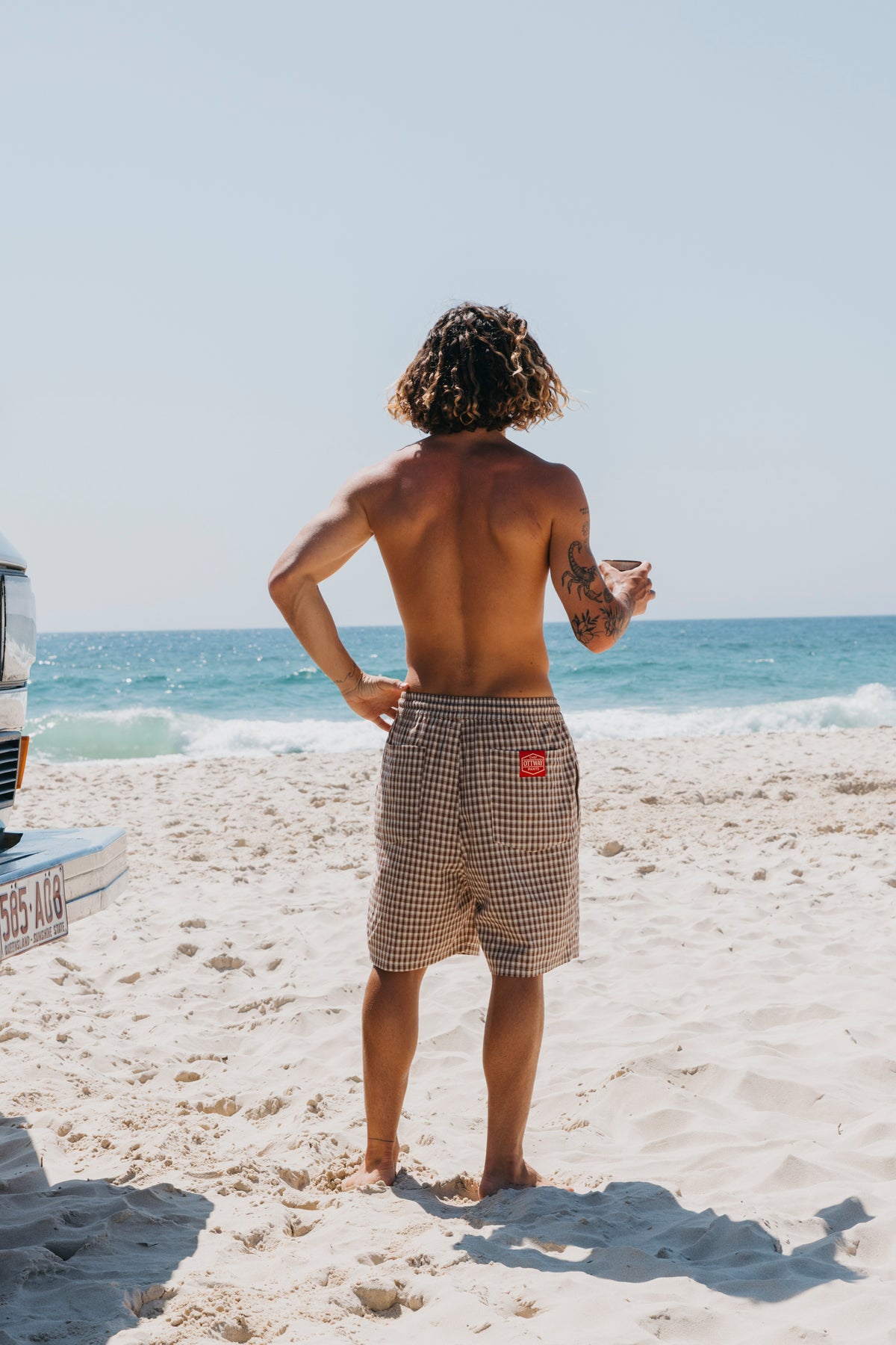 Chef Plaid Shorts - Brown and Cream