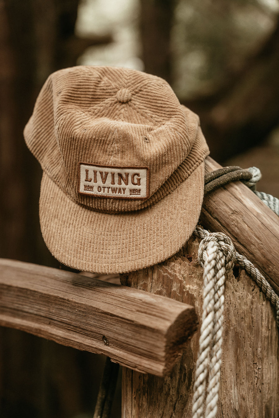 Living Cord Cap - Brown